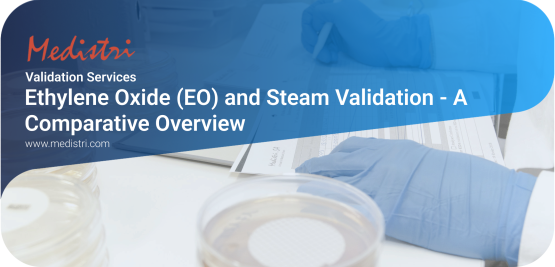 Ethylene Oxide (EO) and Steam Validation - A Comparative Overview 